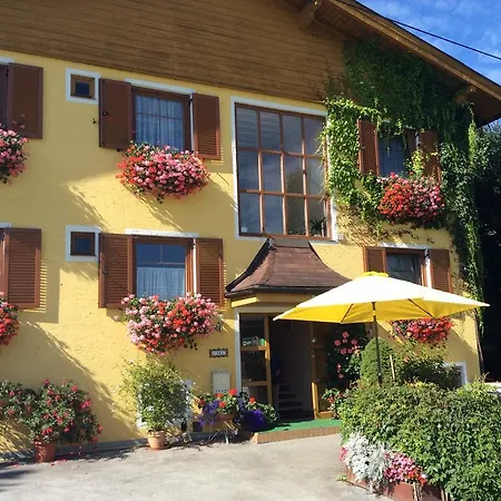 Haus Steiner