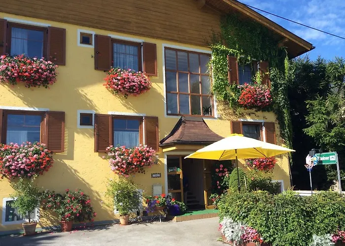 Haus Steiner