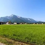 Haus Steiner Salzburg